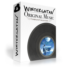 Load image into Gallery viewer, Volume 1: Wintergatan Original Music - Complete Collection.
