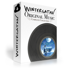 Load image into Gallery viewer, Volume 1: Wintergatan Original Music - Complete Collection.
